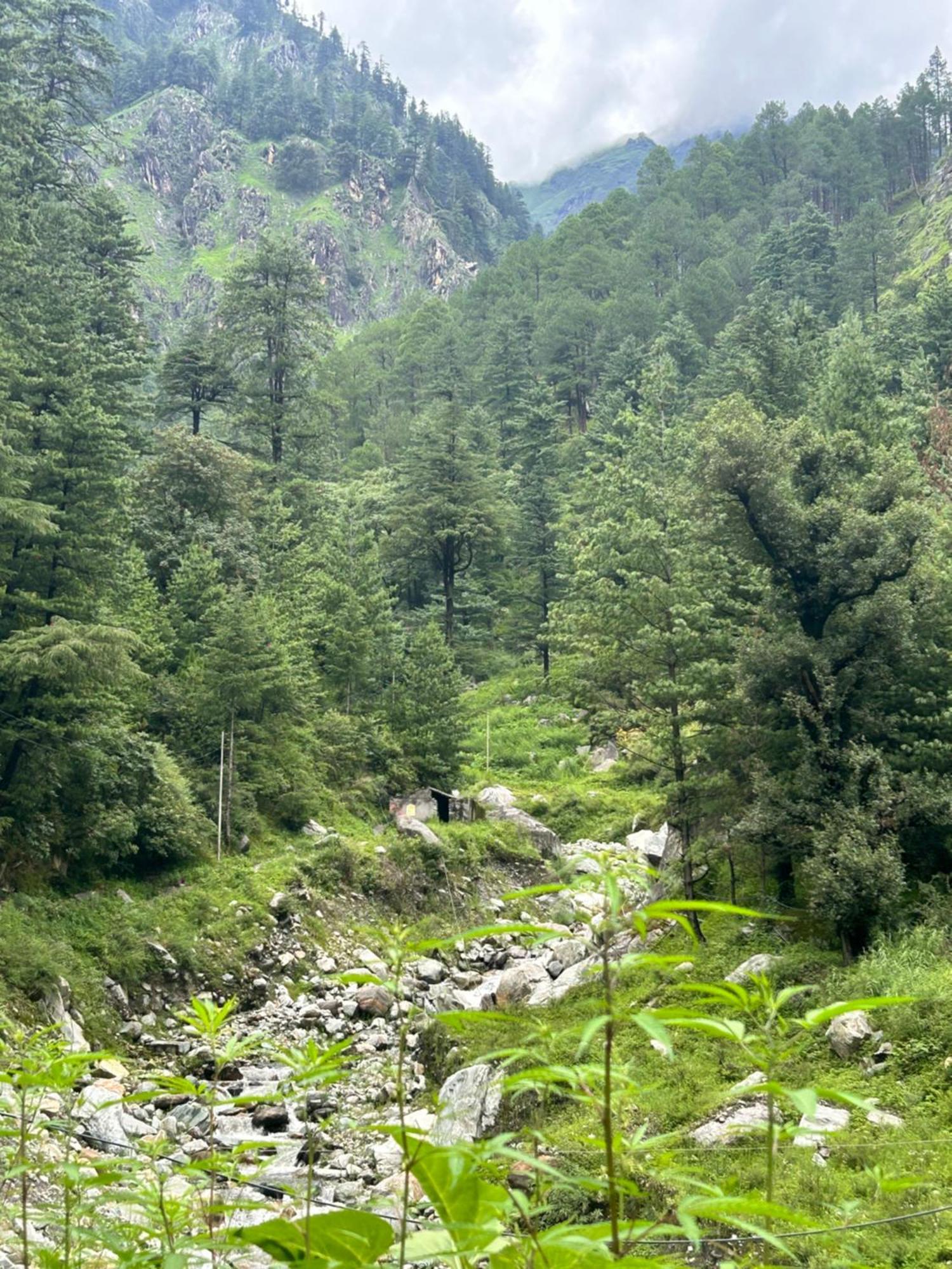 Formosa Hostel & Cafe Kasol Buitenkant foto